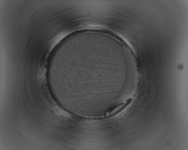 X0000089751066200707121336