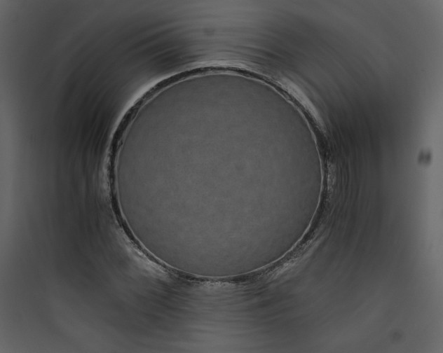 X0000089751068200707121336