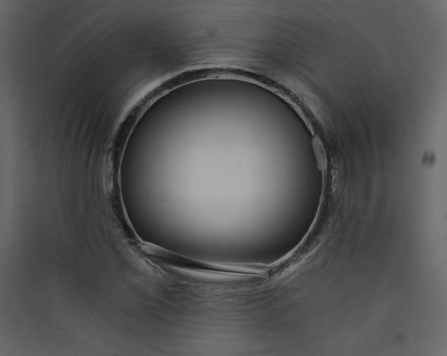 X0000089751069200707121336