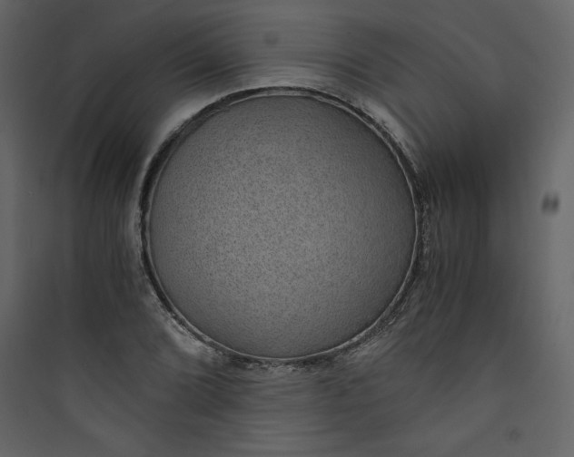 X0000089751072200707121336