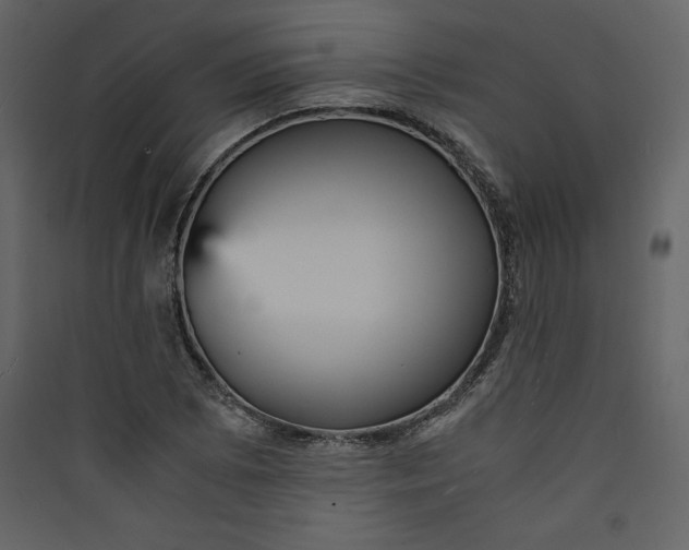 X0000089751073200707121336