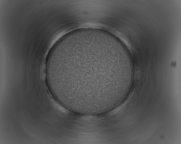 X0000089751075200707121336