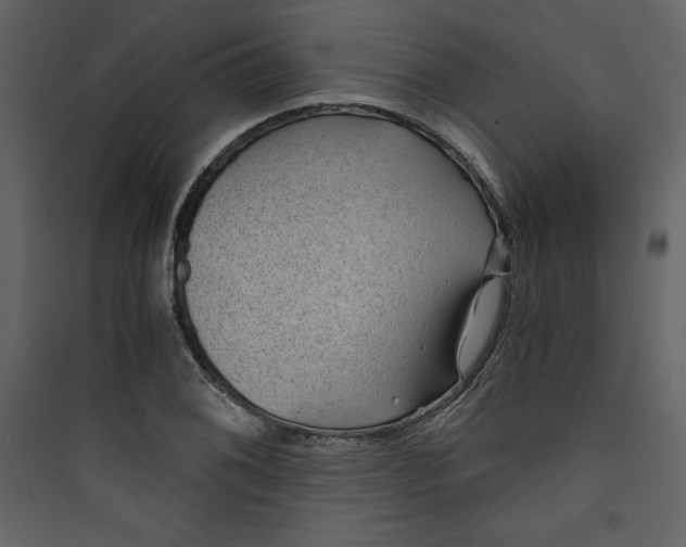 X0000089751076200707121336