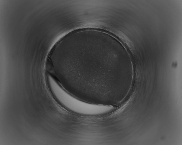 X0000089751077200707121336