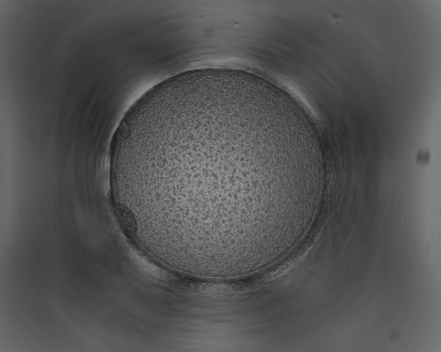 X0000089751079200707121336