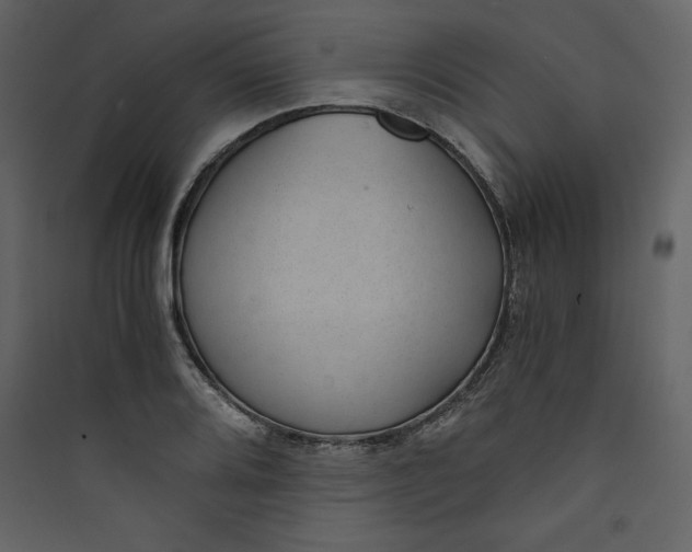 X0000089751080200707121336