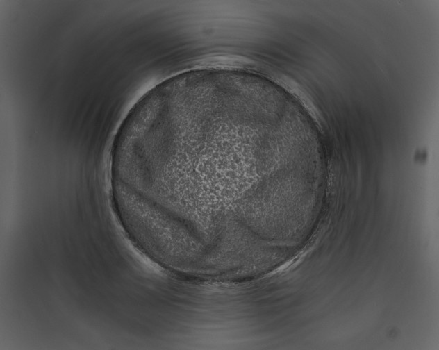 X0000089751083200707121336