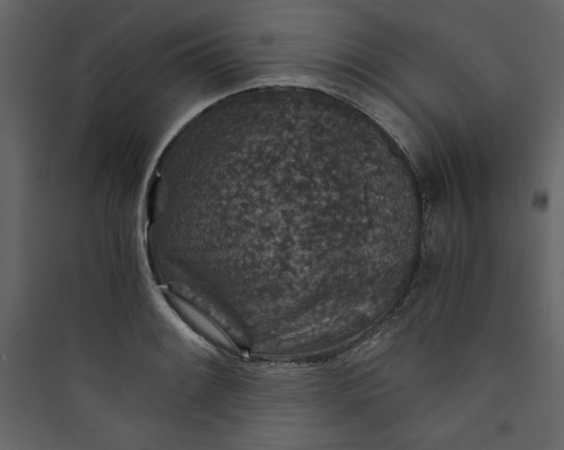 X0000089751084200707121336