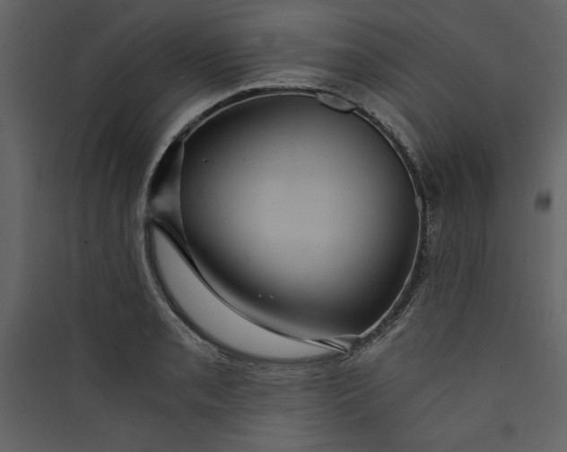 X0000089751085200707121336