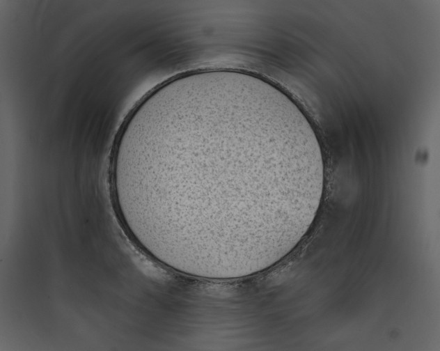 X0000089751086200707121336