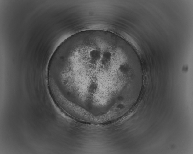 X0000089751087200707121336