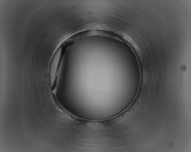 X0000089751089200707121336