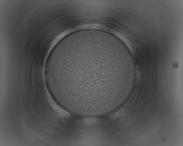 X0000089751090200707121336