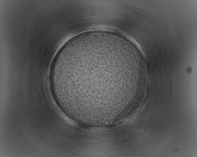 X0000089751091200707121336