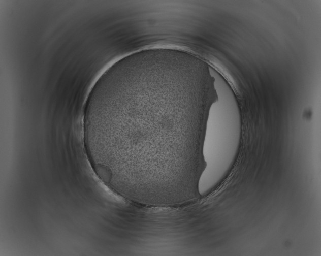 X0000089751092200707121336