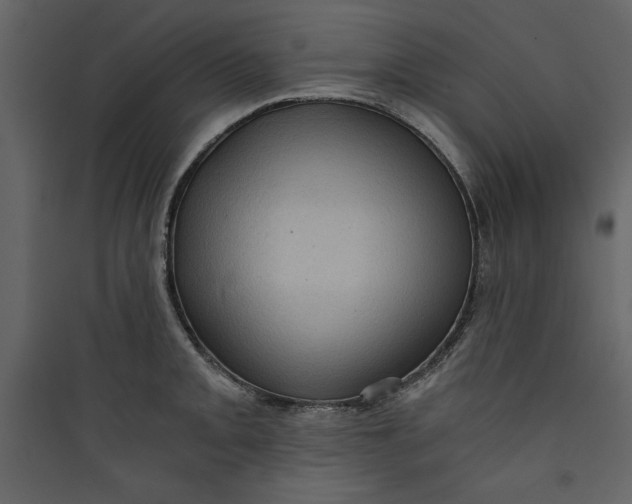 X0000089751093200707121336