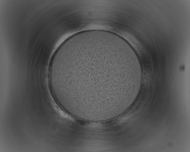 X0000089751094200707121336