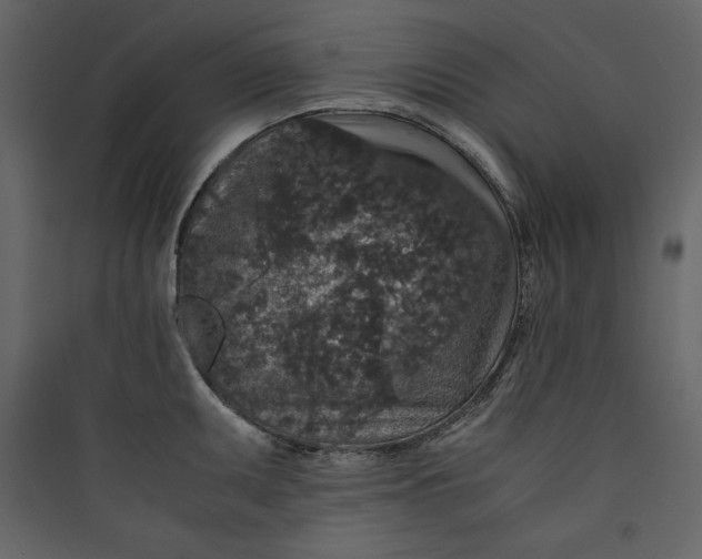 X0000089751095200707121336