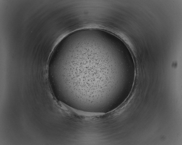 X0000089751097200707121336