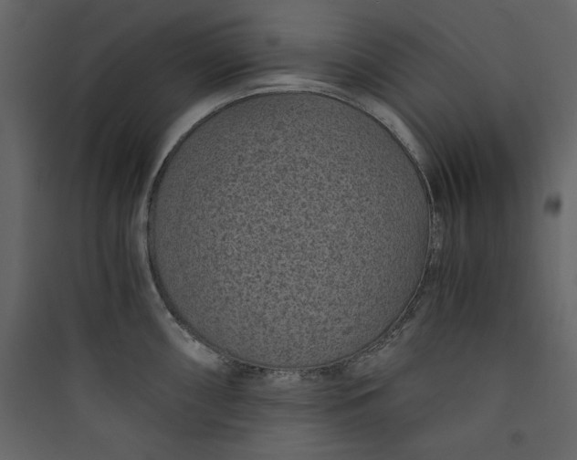 X0000089751098200707121336