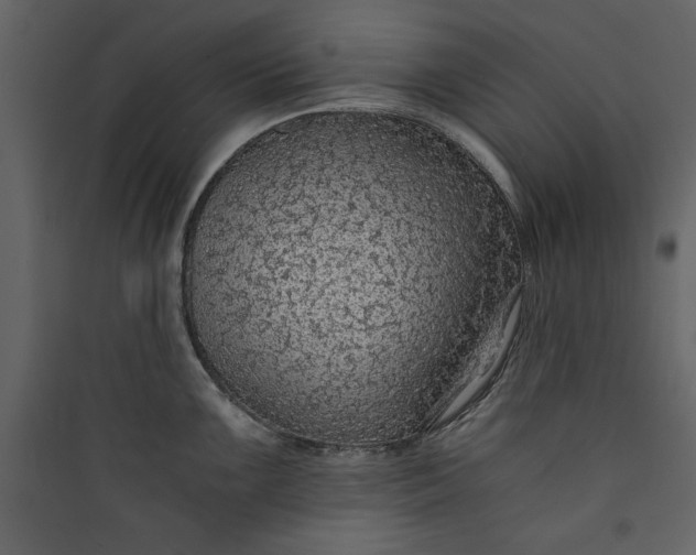 X0000089751099200707121336