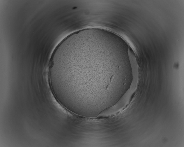 X0000089751100200707121336