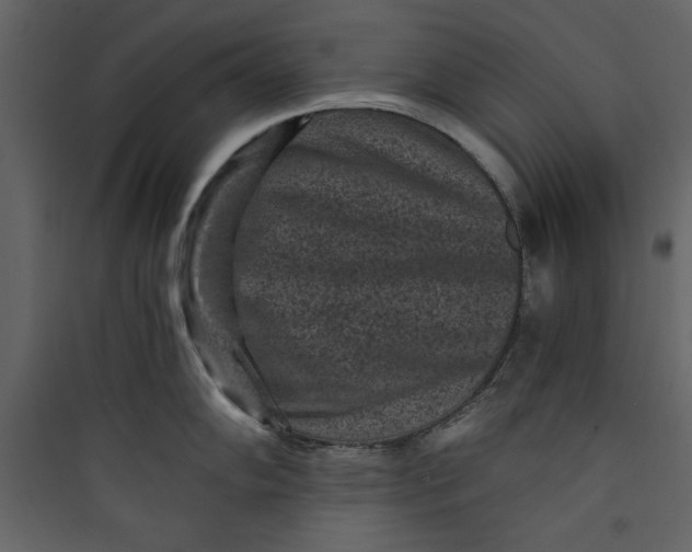 X0000089751102200707121336