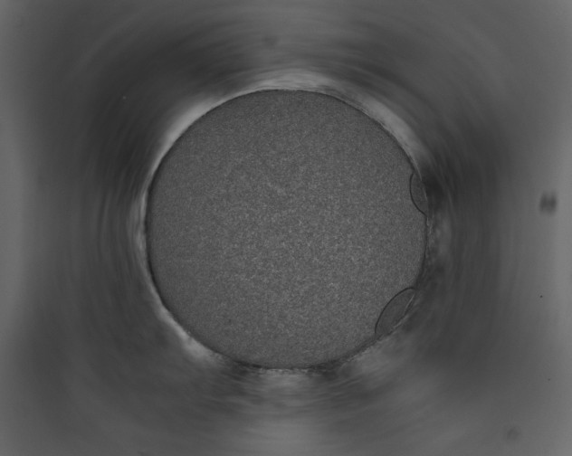 X0000089751103200707121336