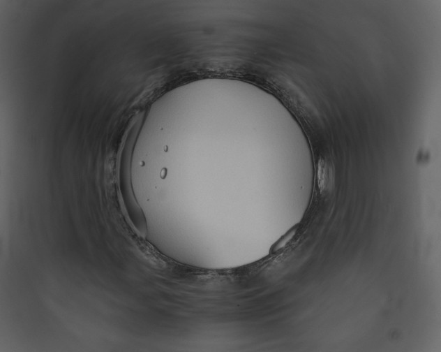 X0000089751107200707121335