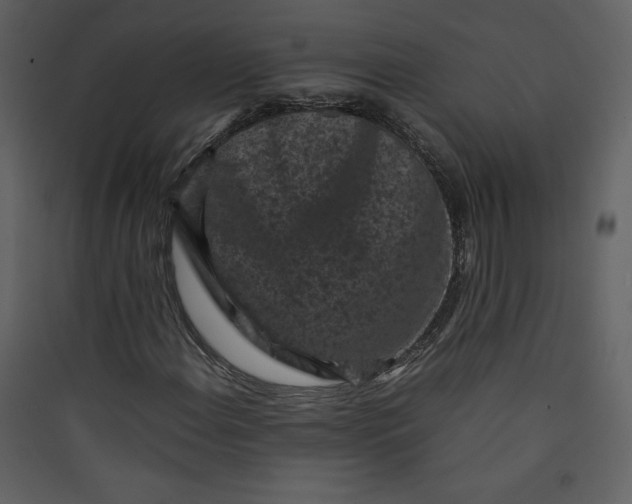 X0000089751108200707121335