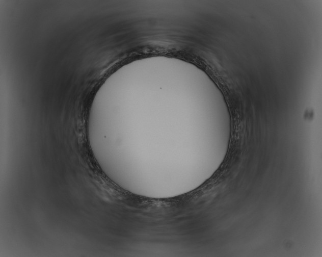 X0000089751109200707121335