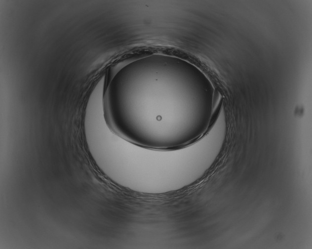 X0000089751110200707121335