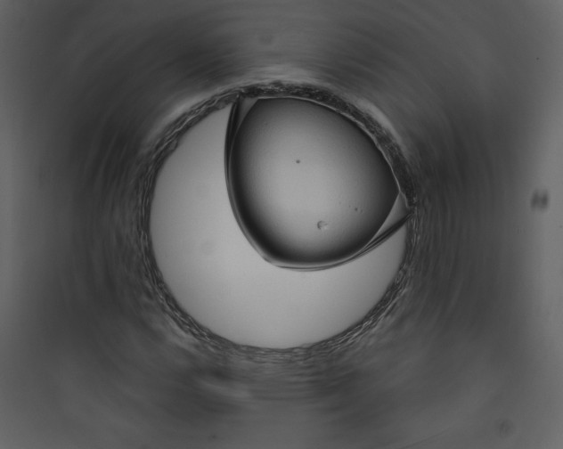 X0000089751112200707121335