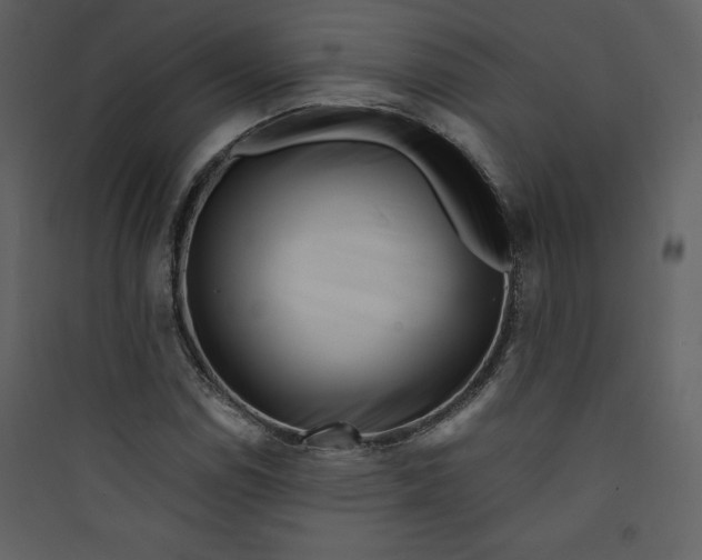 X0000089751114200707121335