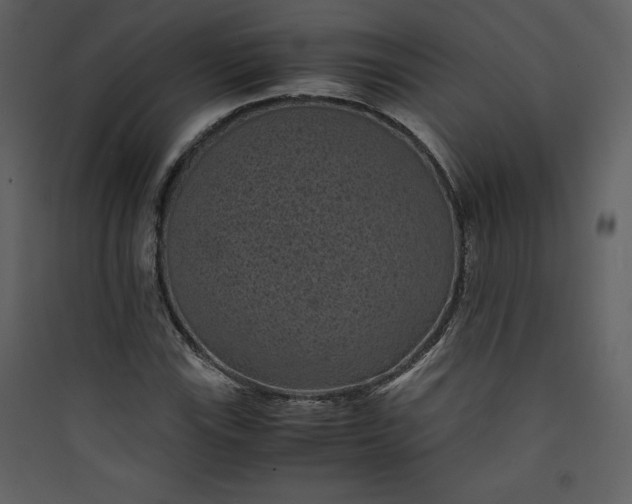 X0000089751115200707121335