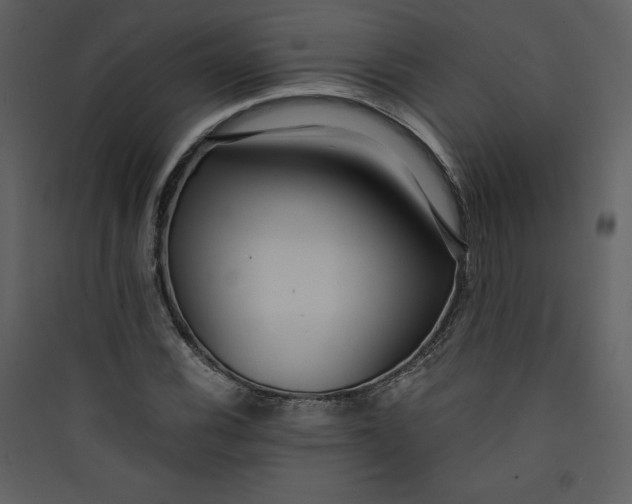 X0000089751116200707121335