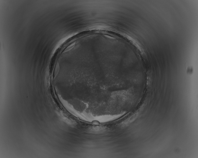 X0000089751117200707121335