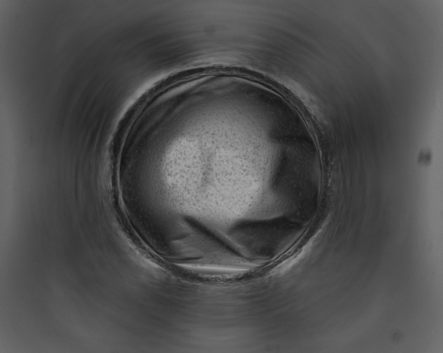 X0000089751118200707121335