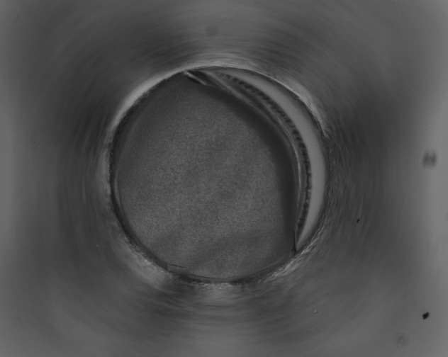 X0000089751120200707121335