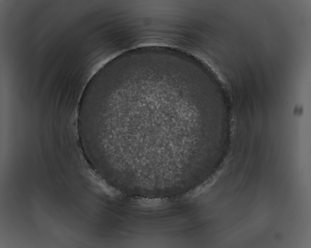 X0000089751121200707121335