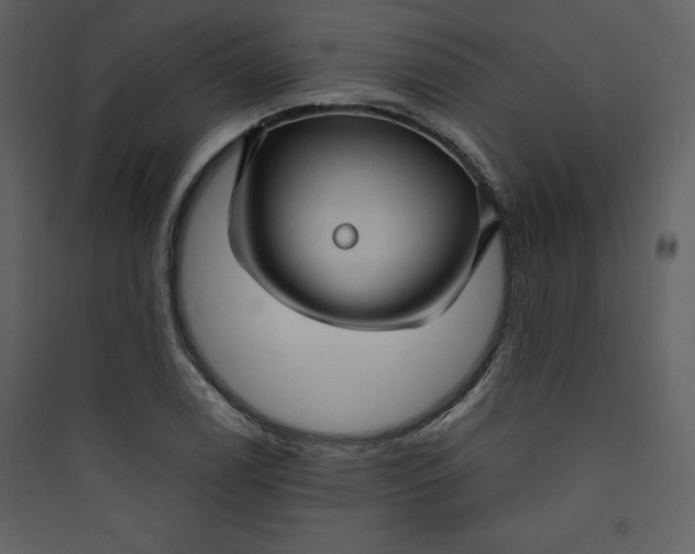 X0000089751122200707121335