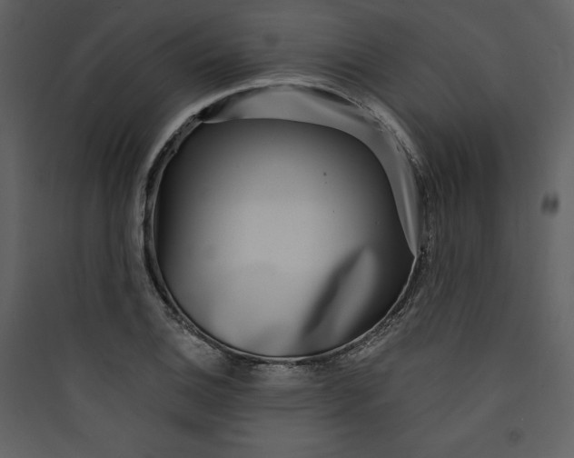 X0000089751124200707121335