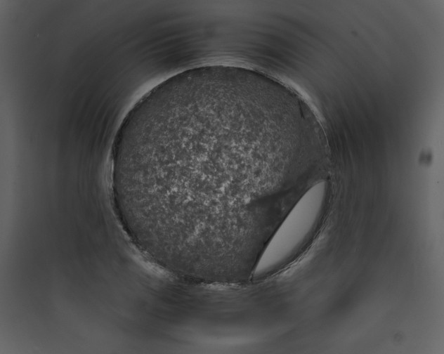 X0000089751125200707121335