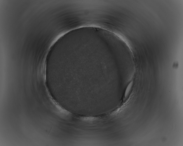 X0000089751127200707121335