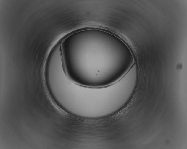 X0000089751128200707121336