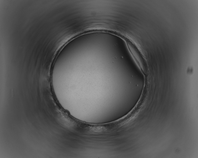 X0000089751129200707121336