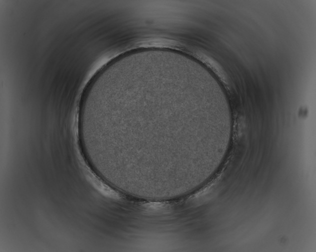 X0000089751130200707121336