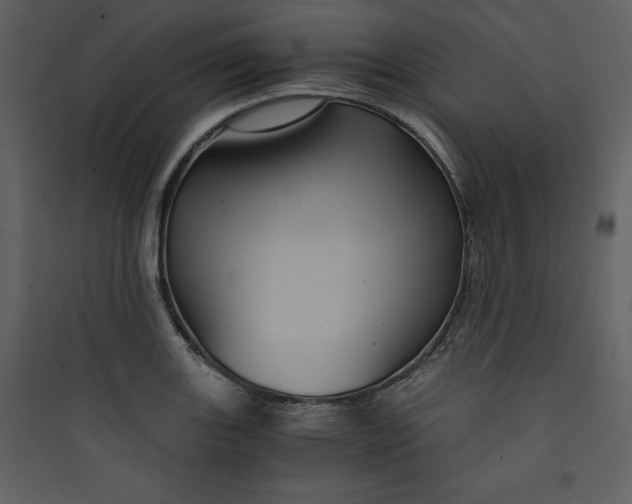 X0000089751131200707121336