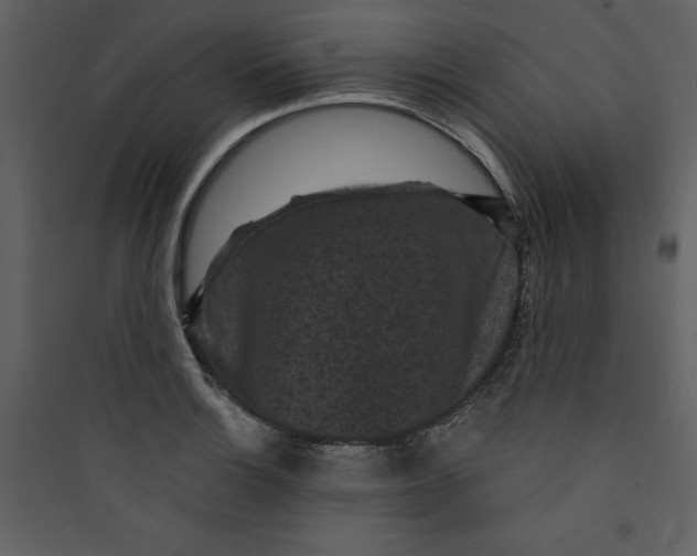 X0000089751132200707121336