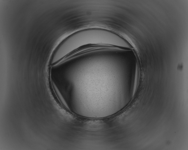 X0000089751133200707121336